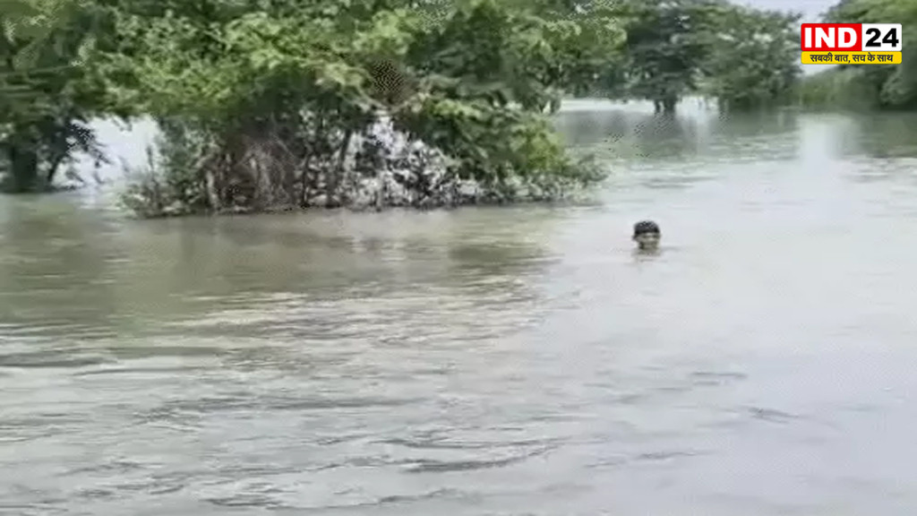 यूपी में बारिश का कहर, डैम के गेट खुले, अस्पताल में भरा पानी, 75 जिलों में अलर्ट