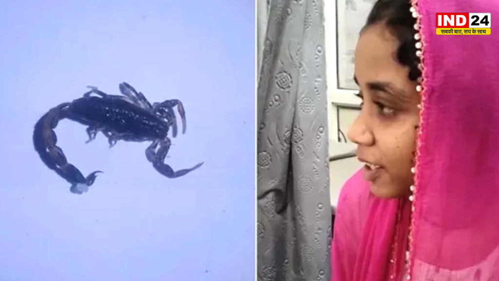 धार में 15 साल की बच्ची के कान में घुसा बिच्छू, कीड़ा समझकर डालते रहे पानी; डॉक्टर ने निकाला जिंदा