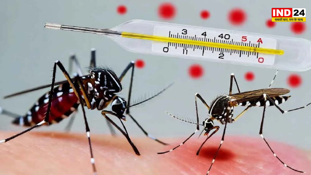 Bhopal Dengue Alert: बारिश के बाद तेजी से बढ़े डेंगू के मामले, घर के आसपास तुरंत करें ये काम