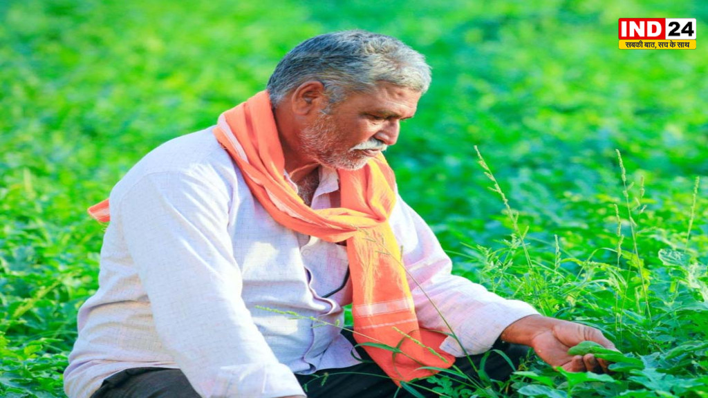 पूर्वी यूपी और बुंदेलखंड के 28 जिलों में कृषि उत्पादकता बढ़ाने पर जोर, किसानों की आय बढ़ाने की नई पहल