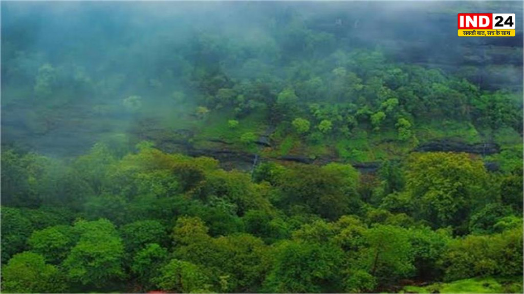 हरियाली बढ़ाने की बड़ी योजना पर CAG की चोट, ग्रीन इंडिया मिशन का 97% से ज्यादा लक्ष्य अधूरा
