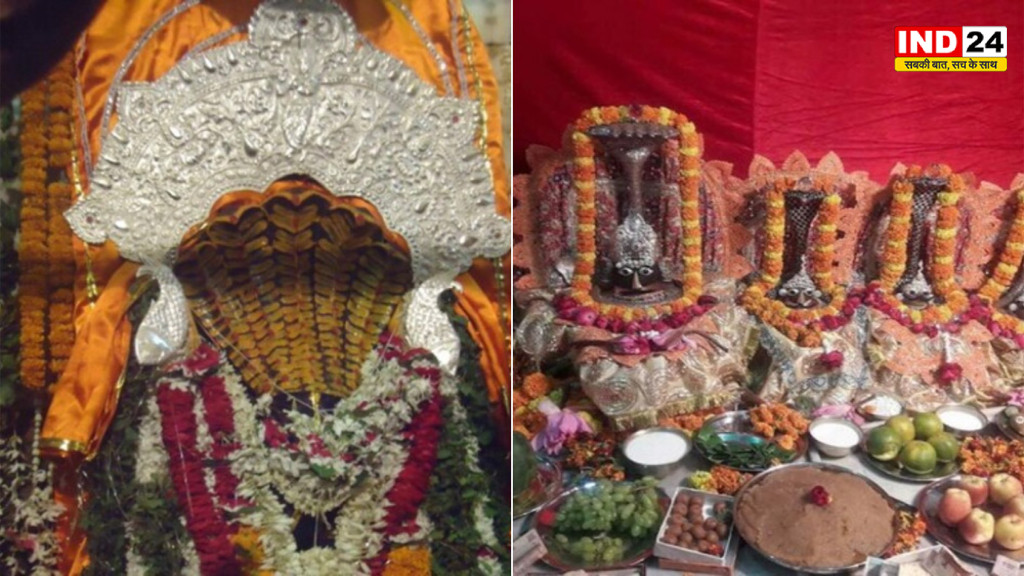 Nag Panchami 2026 Date: 16 अगस्त को नहीं! जानिए कब मनाई जाएगी नाग पंचमी, पूजा का शुभ समय भी नोट कर लें