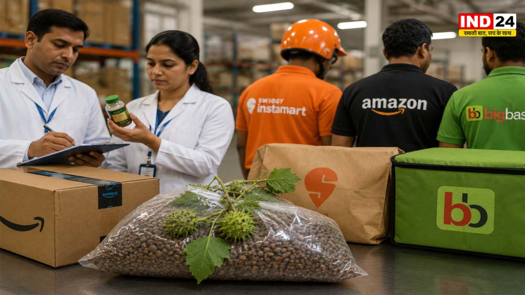 E-Commerce News: Amazon, Swiggy Instamart और BigBasket पर बड़ा एक्शन, जहरीले धतूरे की लिस्टिंग मिलने पर फूड लाइसेंस सस्पेंड
