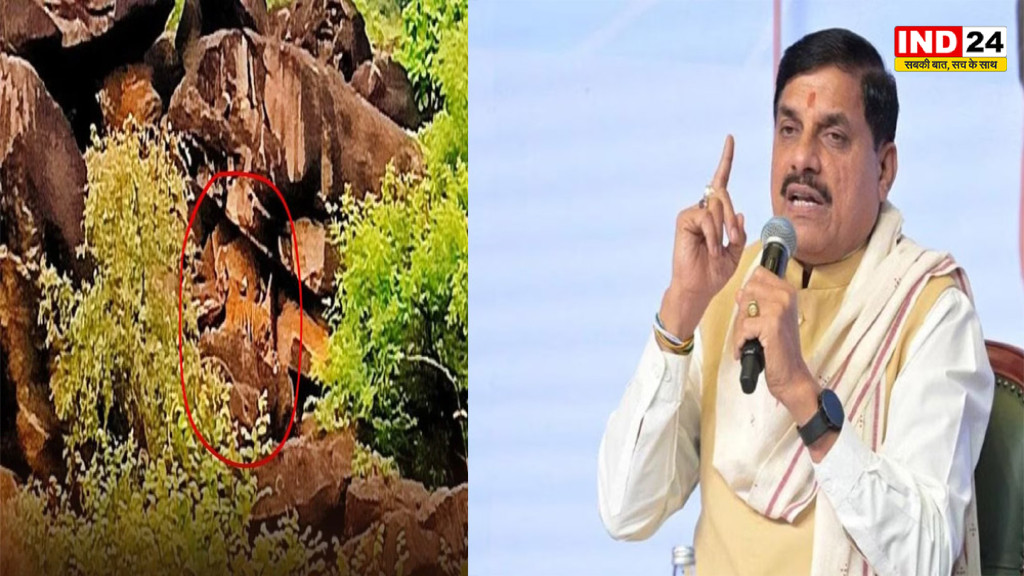 Madhav Tiger Reserve: MP के टाइगर रिजर्व में आई खुशखबरी! बाघिन MT-4 बनी मां, शावकों के साथ आई सामने; डॉ. CM मोहन यादव ने दी खुशखबरी