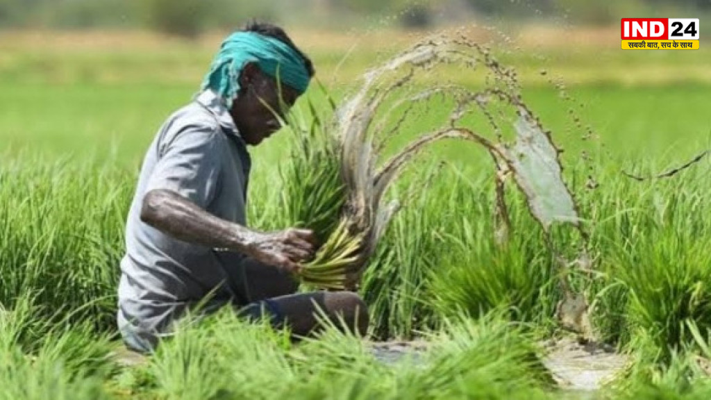 पश्चिम बंगाल के किसानों को बड़ी राहत, प्रधानमंत्री फसल बीमा योजना में पंजीकरण की समय सीमा बढ़ी