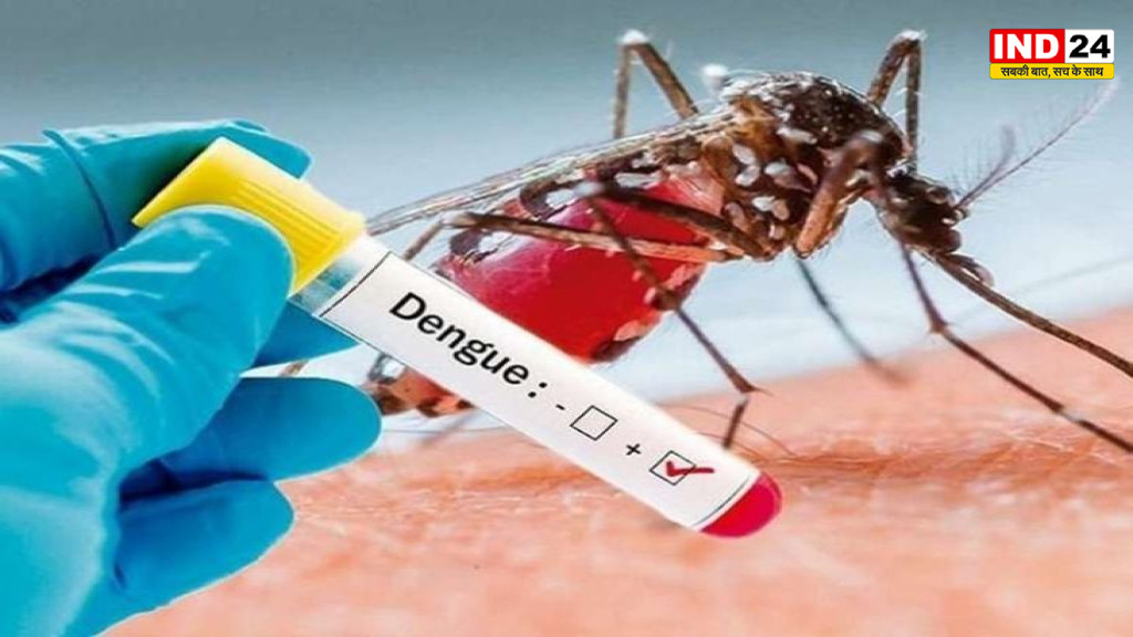 Kolkata Dengue Alert: 7 दिनों में 10 मौतें, 800 से ज्यादा मरीज अस्पताल में भर्ती; बढ़ी स्वास्थ्य विभाग की चिंता