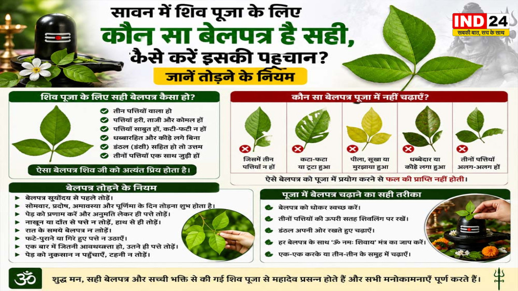 Sawan Bel Patra Rules: शिव पूजा के लिए कैसा बेलपत्र चुनें? सोमवार समेत इन तिथियों पर न तोड़ें