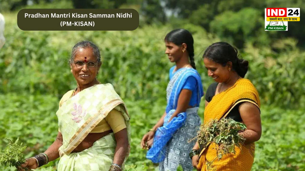 पीएम किसान की 24वीं किस्त पर बड़ा अपडेट, सितंबर-अक्टूबर में आएगी ₹2,000 की रकम? जानें पूरा गणित