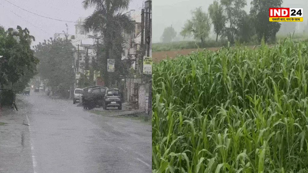 Rajasthan Weather Update: राजस्थान में बारिश का बदला मिजाज, कई जिलों में सुबह से बरसे बादल; बाड़मेर में सड़क पर 5 फीट पानी, ट्रक-बाइक सवार फंसे