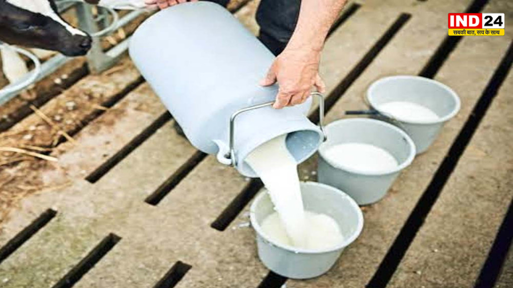 Ujjain Milk Testing: दूध में मिलावट की मौके पर ही खुलेगी पोल, डेयरियों और दूध वाहनों की रैपिड किट से जांच शुरू