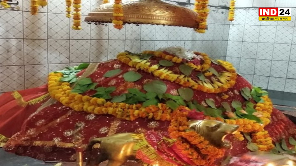 वन देवी का रहस्यमयी धाम: पिंड स्वरूप में होती है पूजा, रात होते ही क्यों बदल जाता है जंगल का माहौल?