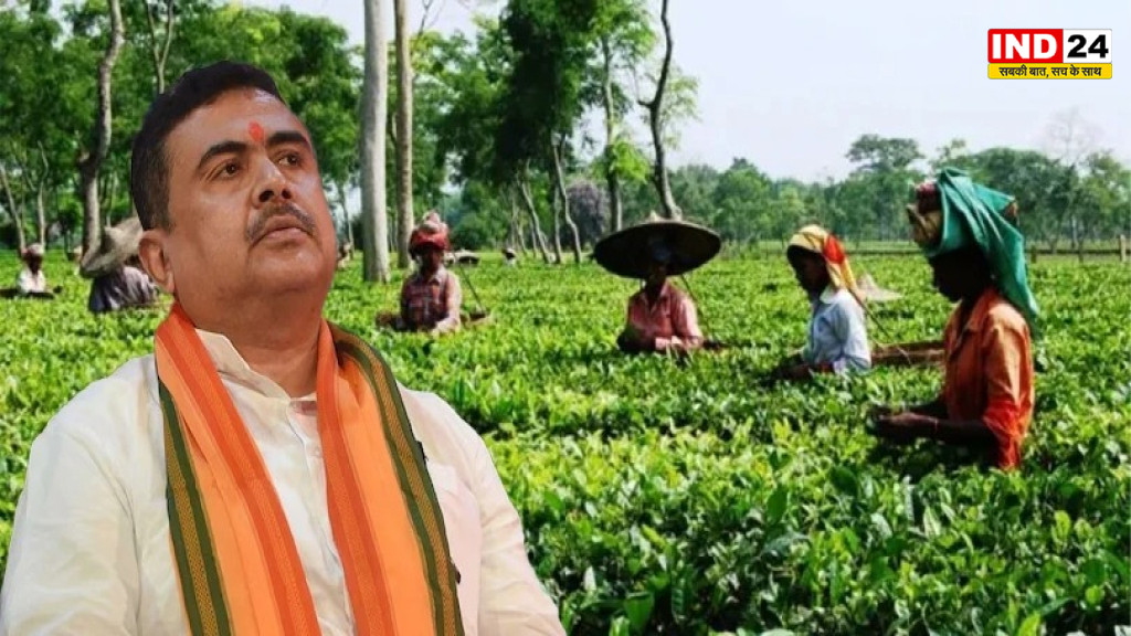 पश्चिम बंगाल में औद्योगिक विकास की बहार, मुख्यमंत्री सुवेंदु अधिकारी ने किए कई बड़े ऐलान, 330 करोड़ की चाय श्रमिक योजना को मिली मंजूरी