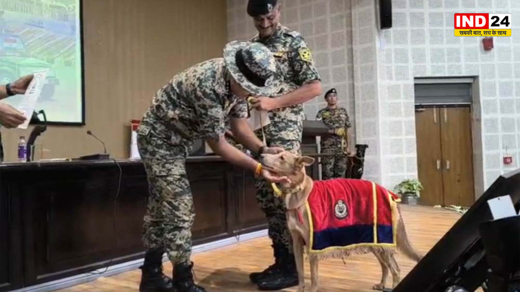 Tekanpur BSF Academy: भूटान समेत विदेशी सुरक्षा बलों के डॉग्स को मिल रही ट्रेनिंग