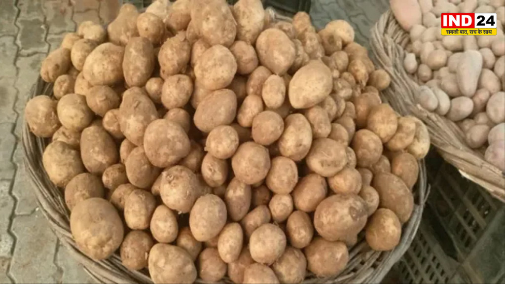 UP Potato Farmers: आलू किसानों के लिए बड़ी खुशखबरी, सरकार देगी ₹20 हजार तक अनुदान