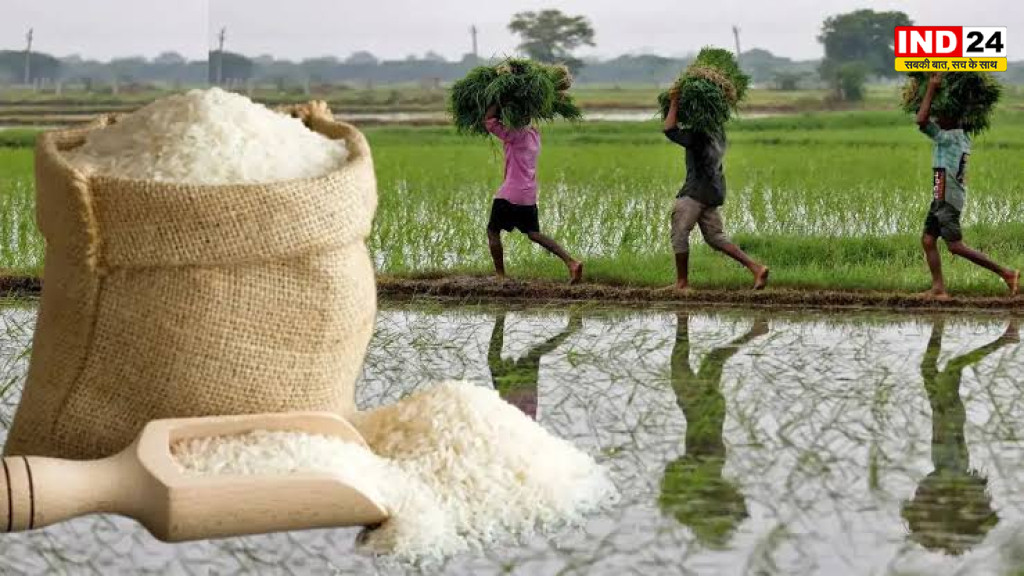 Rice Crisis: मानसून की बेरुखी से धान की पैदावार पर असर, चावल उत्पादन घटने की आशंका