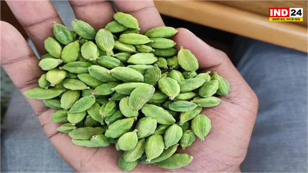 इलायची के दाम में लगी आग, 4500 रुपये किलो तक पहुंची कीमत; त्योहारों में और महंगी होने के संकेत