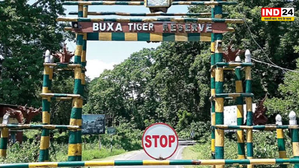 हेलीकॉप्टर से बक्सा आएगी बाघिन, 4 दिन बंद रहेगा टाइगर रिजर्व