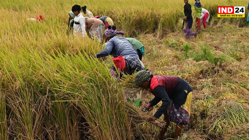 खेत छूटे, शहर ने बुलाया: खेती के संकट ने किसानों को मजदूर और महिलाओं को बना दिया अनदेखा श्रमिक