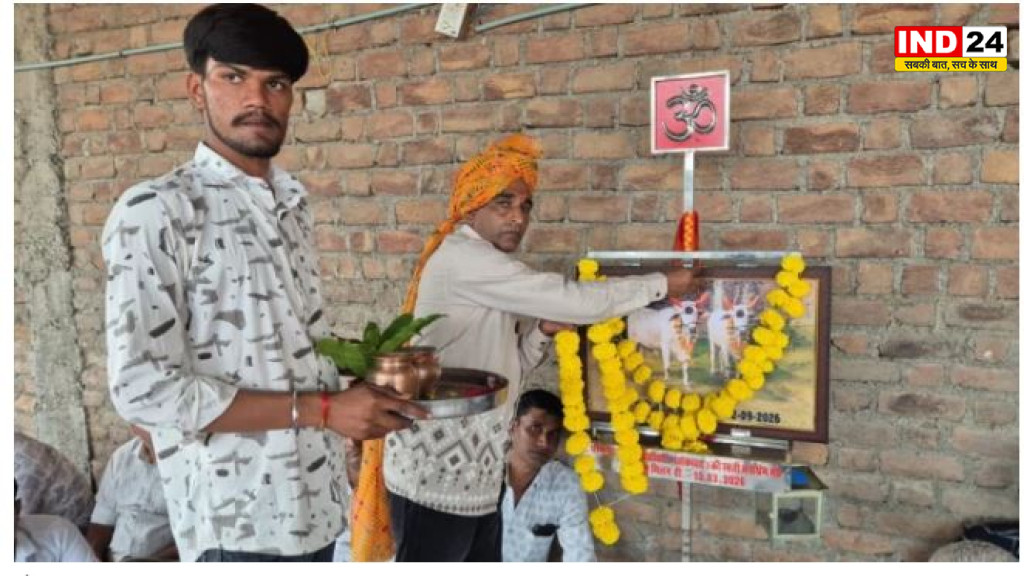 20 साल साथ निभाने वाले बैलों की तेरहवीं, रतलाम के किसान ने पूरे गांव को कराया भोज,शिप्रा में किया अस्थियों का विसर्जन 