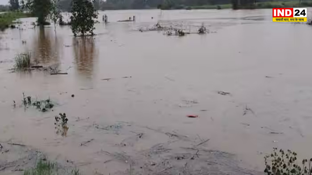 सतना में बारिश से बढ़ी चिंता, बिरसिंहपुर में 5.3 इंच बारिश, मंदाकिनी का जलस्तर बढ़ने से बाढ़ का खतरा
