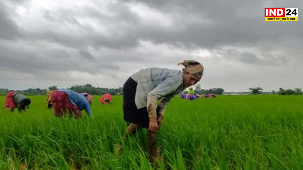 करोड़ों किसानों के लिए जरूरी अपडेट, पीएम किसान पोर्टल पर हुए 4 बड़े बदलाव