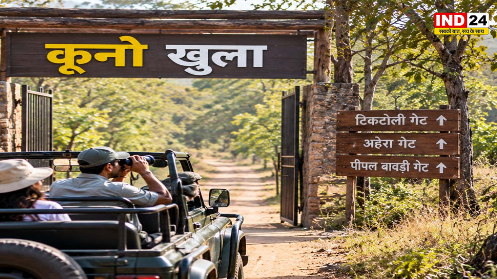 Kuno National Park: आज से खुला कूनो नेशनल पार्क, तीनों गेट से मिलेगी एंट्री; दिखेंगे चीते