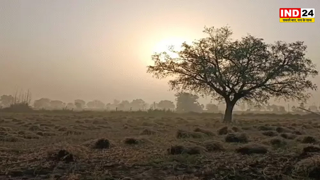 छत्तीसगढ़ में बढ़ी गर्मी और उमस, राजनांदगांव में 35°C पहुंचा पारा, 2 दिन बाद कुछ इलाकों में बूंदाबांदी के आसार