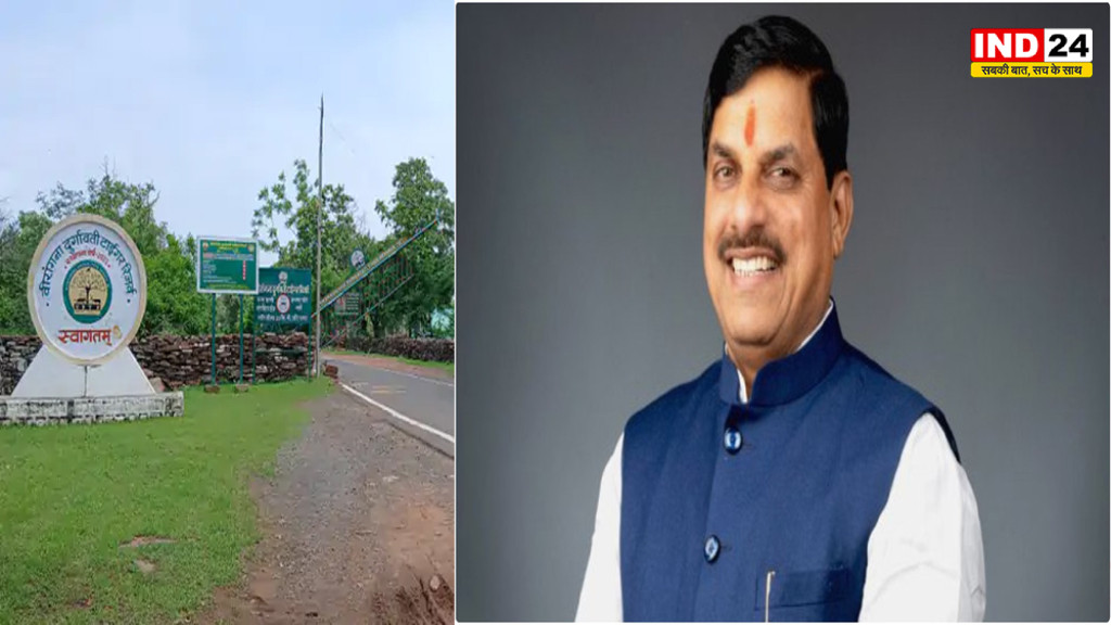 मुख्यमंत्री डॉ. मोहन यादव 7 अक्टूबर को 2 चीतों को वीरांगना दुर्गावती टाइगर रिजर्व में करेंगे विमुक्त