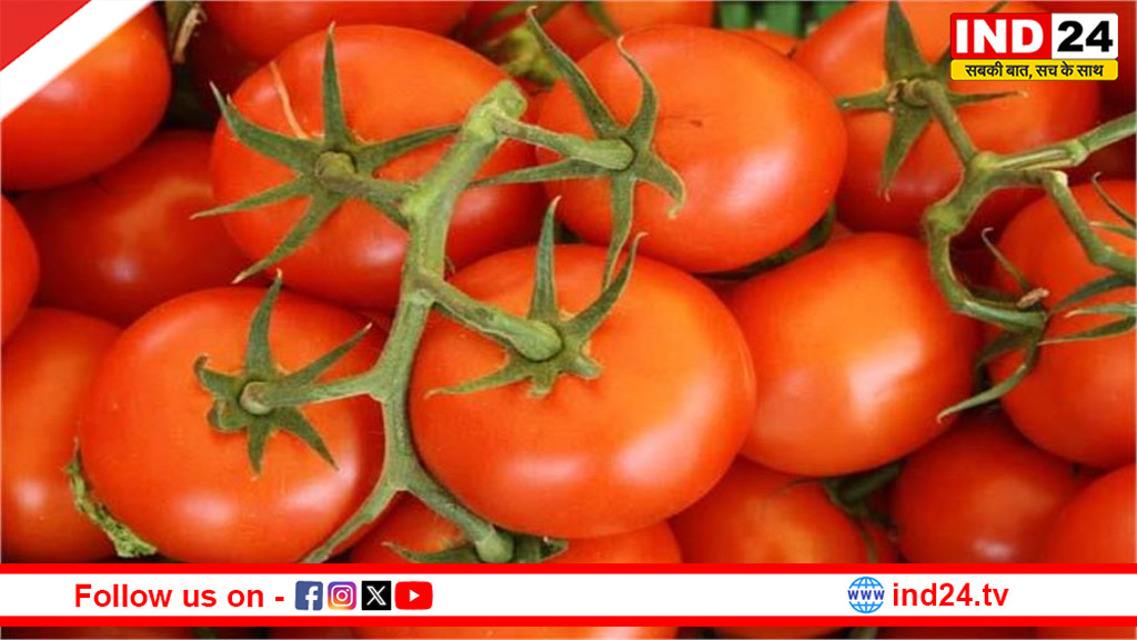 देश भर में फिर बढ़ने लगे टमाटर के भाव, एक महीने में 26% हुआ महंगा