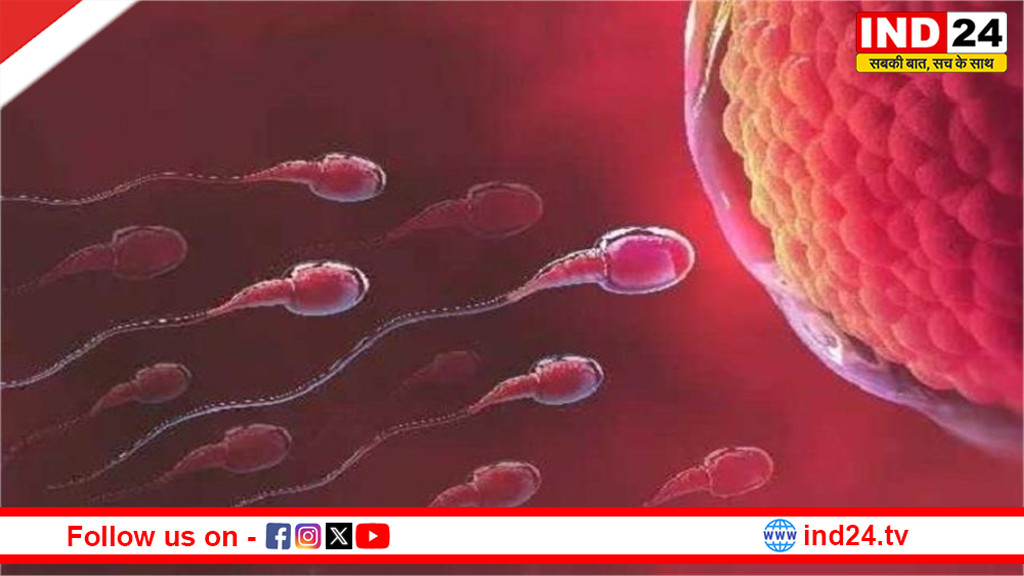 दुनिया भर में मचा हड़कंप, कम स्पर्म काउंट वालों में मौत का खतरा ज्यादा क्यों?