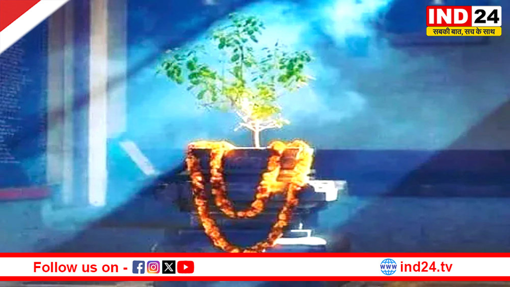 Tulsi Pujan Diwas 2025: तुलसी पूजन दिवस पर भूलकर भी न करें ये गलतियां, जानें पूजा की सही विधि