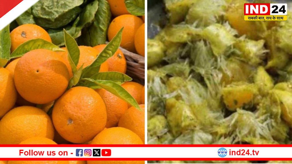 देहरादून में आयोजित उत्तराखण्ड माल्टा महोत्सव, स्वाद और संस्कृति का अनोखा संगम