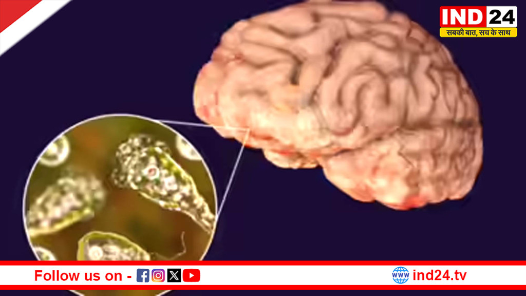 ब्रेन-ईटिंग अमीबा का खतरा बढ़ा, वैज्ञानिकों ने दी वैश्विक चेतावनी