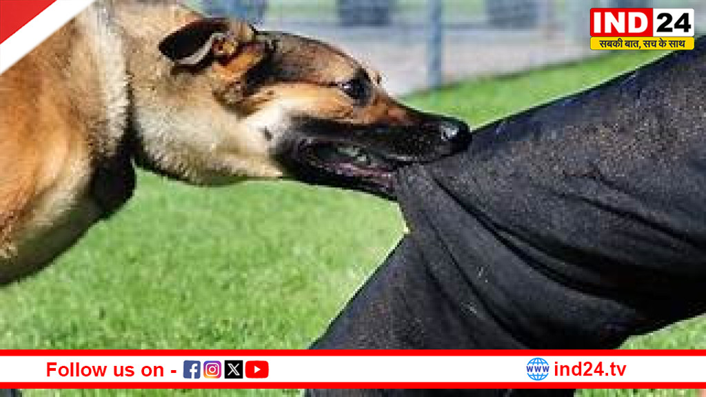 दिल्ली का बड़ा हेल्थ मिशन: अब रेबीज़ से नहीं जाएगी एक भी जान — सरकार ने छेड़ी निर्णायक जंग