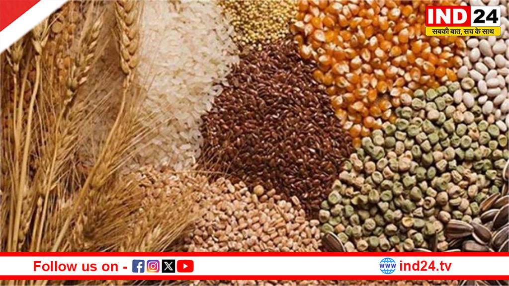 खाद्यान्न उत्पादन में ऐतिहासिक उछाल: 2024-25 में 8% बढ़कर 35.77 करोड़ टन पर पहुंचा देश