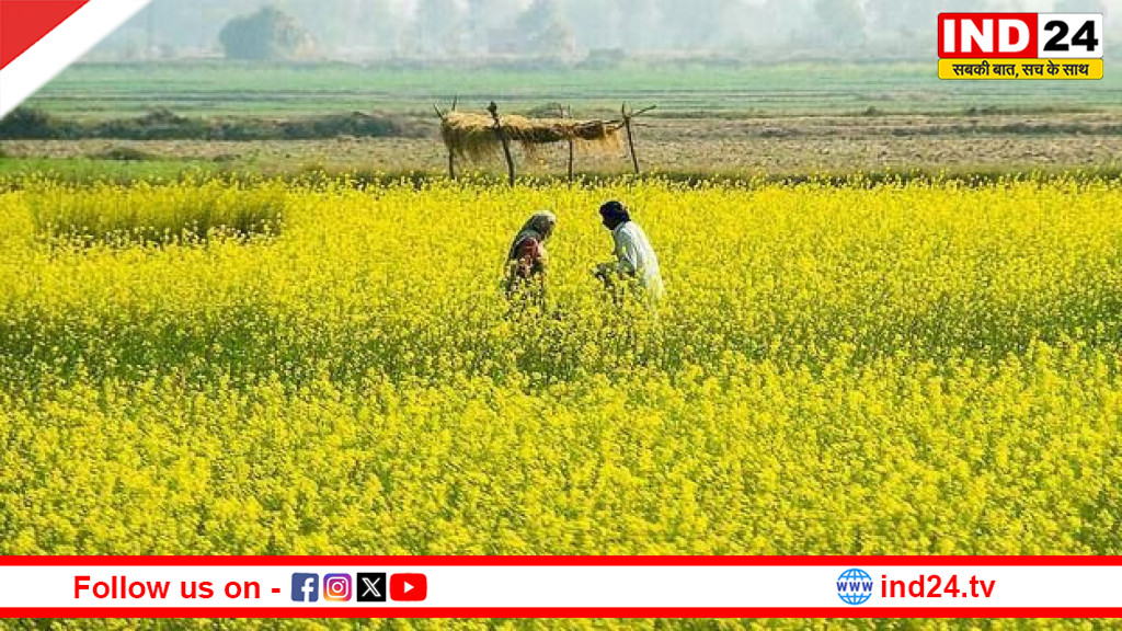 लाड़ली बहनों के लिए बड़ी सौगात की तैयारी, बढ़ सकती है किस्त की राशि; नए बजट में महिलाओं को मिलेगा ज्यादा लाभ