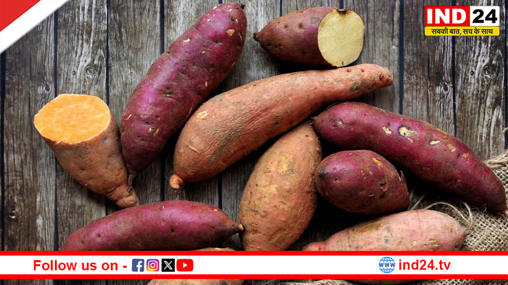 शकरकंद: सिर्फ मामूली सब्ज़ी नहीं, जानें इसके 6 अद्भुत फायदे और आज ही अपनी डाइट में शामिल करें