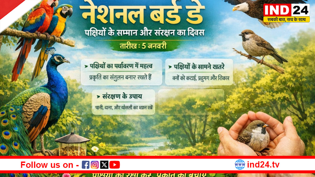 प्रकृति के पंखों की पुकार: नेशनल बर्ड डे क्यों है इतना खास?