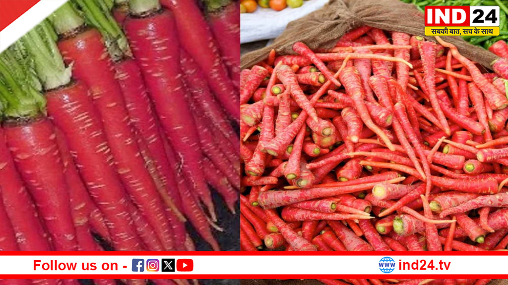 सर्दियों का सुपरफूड — गाजर: सेहत और स्वाद का बेहतरीन संगम