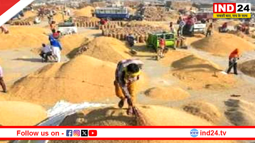 मध्य प्रदेश में MSP पर धान की खरीदी: किसानों को 6791 करोड़ रुपए का भुगतान