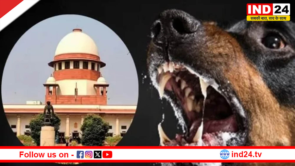 आवारा कुत्तों के काटने पर मौत या चोट के लिए मुआवजा तय होगा, डॉग लवर्स की जिम्मेदारी भी होगी: सुप्रीम कोर्ट
