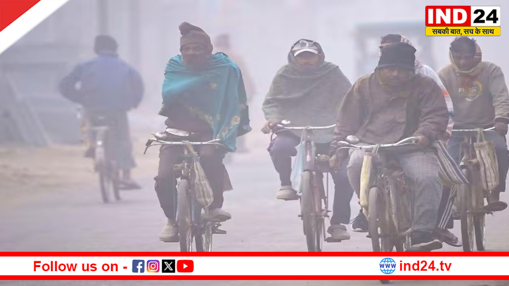 ग्वालियर-चंबल और सागर संभाग में कोहरे का अलर्ट, शहडोल-कटनी में शीतलहर का असर