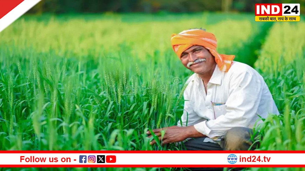 किसानों को राहत की बड़ी सौगात: मध्यप्रदेश में गेहूं MSP बढ़ाने का ऐलान, सरसों किसानों को भी मिला संबल