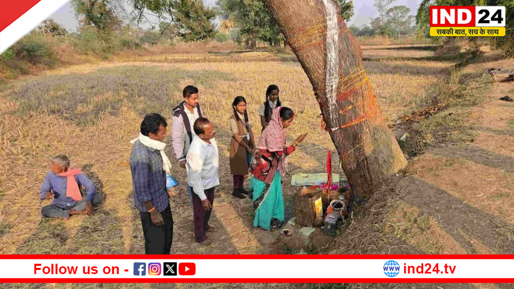 बालोद: नीम पेड़ में चमत्कार ! दूर-दूर से उमड़ी भीड़ देखने और पूजा करने