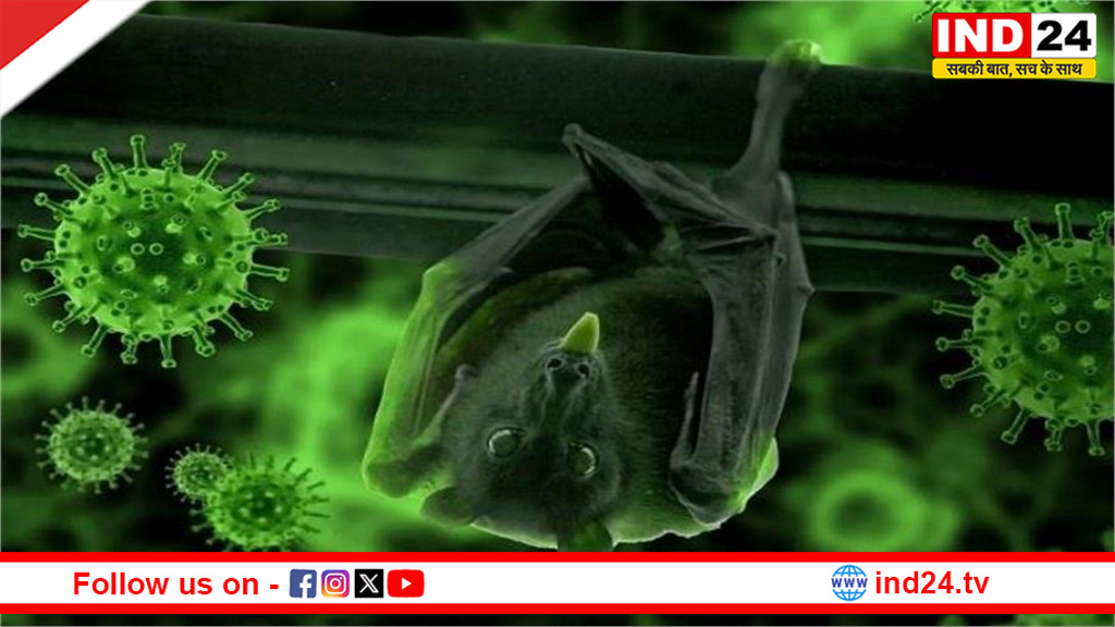 खतरे की घंटी: पश्चिम बंगाल में निपाह वायरस के संदिग्ध मामले, स्वास्थ्य तंत्र अलर्ट मोड में