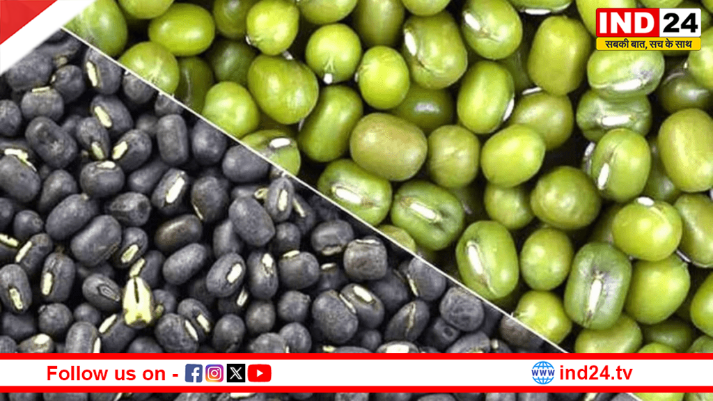 उत्तर प्रदेश में गन्ना किसानों को फ्री मिलेगा उड़द और मूंग का बीज