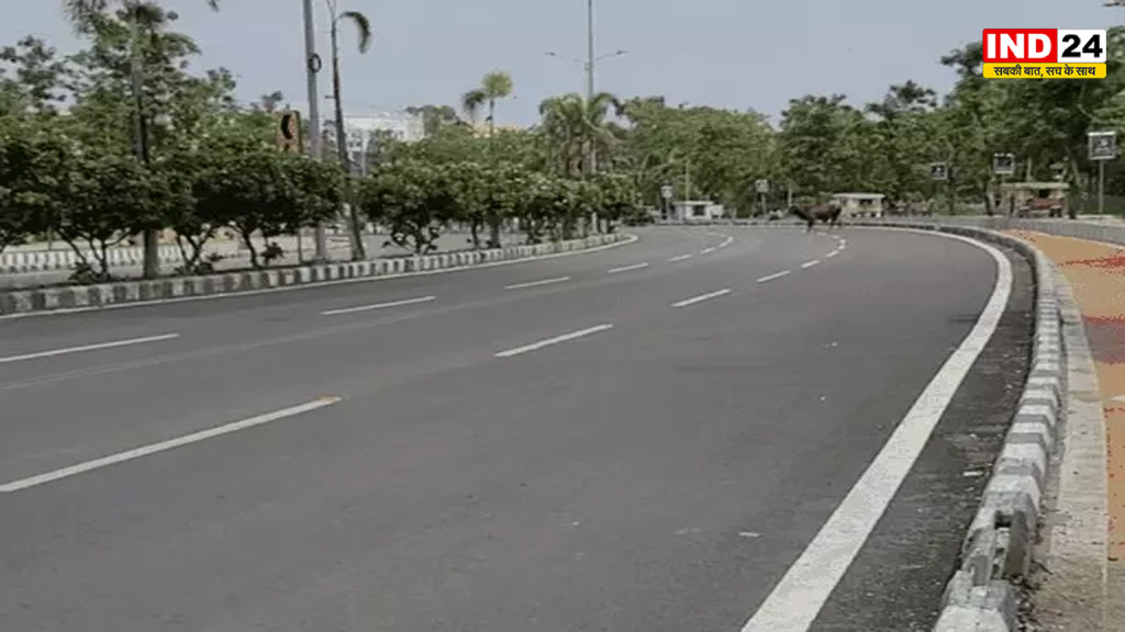 MP Weather Update: अमरकंटक में 13° पहुंचा पारा, अगले 4 दिन आंधी-बारिश का अलर्ट नहीं, रात में बढ़ी ठंडक