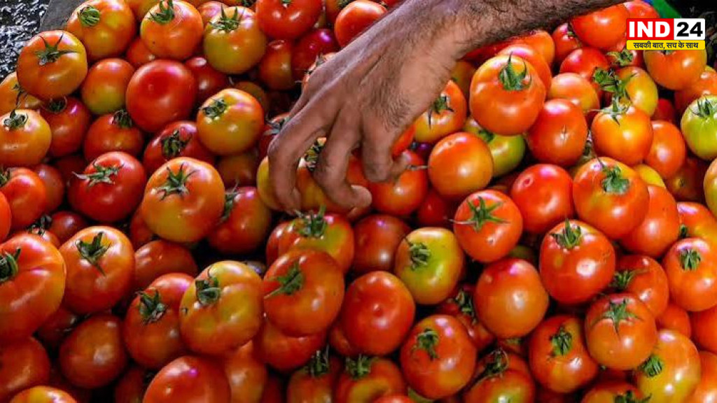  Tomato Price Crash: टमाटर की कीमतों में भारी गिरावट, एक हफ्ते में थोक भाव 65% तक टूटे; किसानों की बढ़ी मुश्किलें