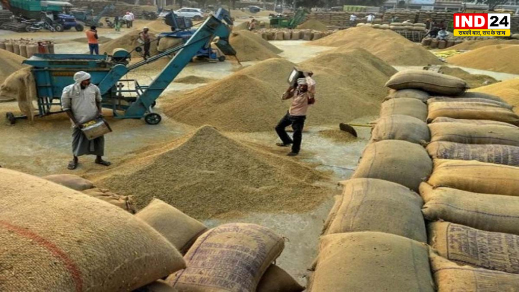 यूपी में 80 लाख से अधिक किसानों से 519 लाख मीट्रिक टन धान खरीदा, 1.03 लाख करोड़ से ज्यादा का सीधा भुगतान