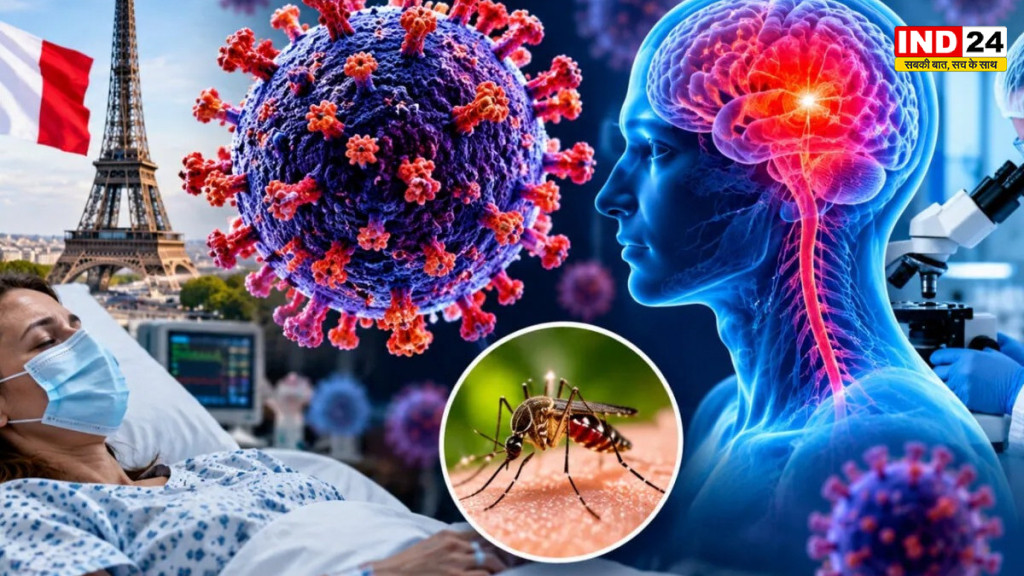 Shamonda Virus News: फ्रांस में पहली बार इंसान में मिला शमोंडा वायरस, संक्रमित मरीज की मौत; जानिए इसके लक्षण और खतरे